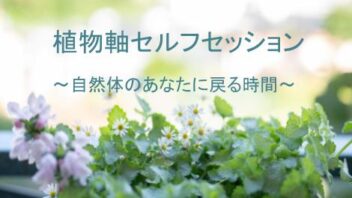 植物軸セルフセッション〜自然体のあなたに戻る時間〜